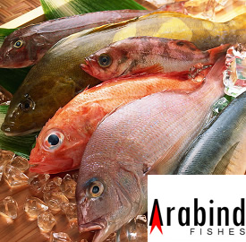 arabindfishes