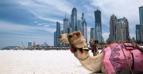 阿联酋外籍人士平均月收入到底有没有38000迪