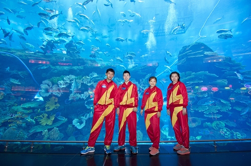 ShadowPP Falcon 0668