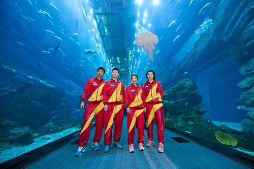 ShadowPP Falcon 0691