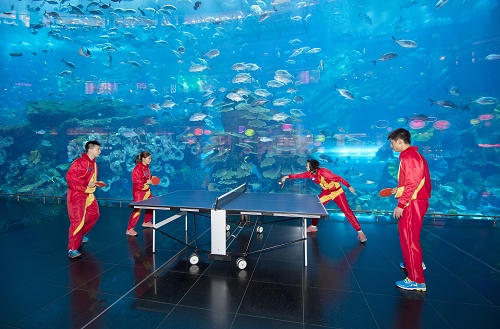 ShadowPP Falcon 0702