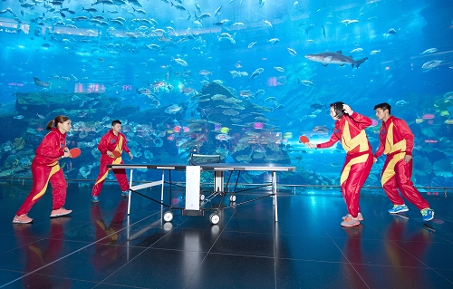 ShadowPP Falcon 0703