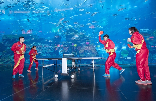 ShadowPP Falcon 0705