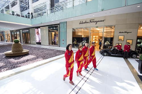 ShadowPP Falcon 0808