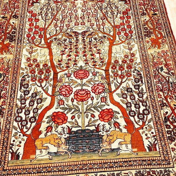 nEO_IMG_10903276_550703018365851_1886905967_n