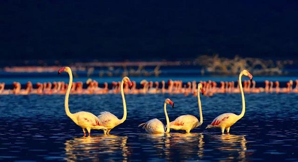 nEO_IMG_444444444444444444444444444