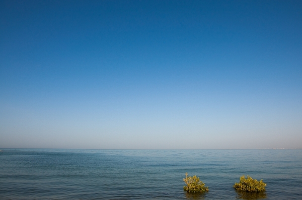 nEO_IMG_nEO_IMG_8R7C1443