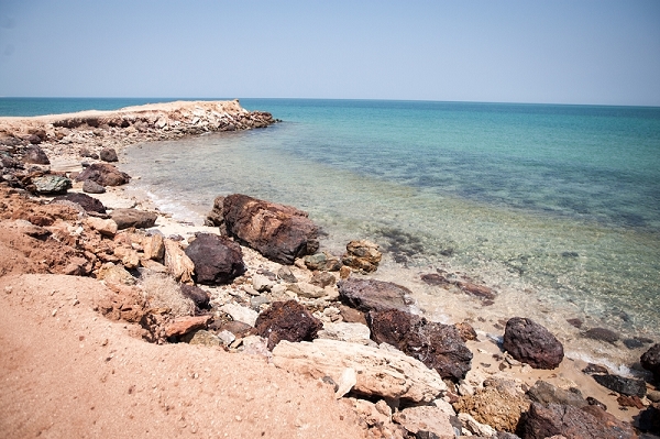 nEO_IMG_nEO_IMG_8R7C1823