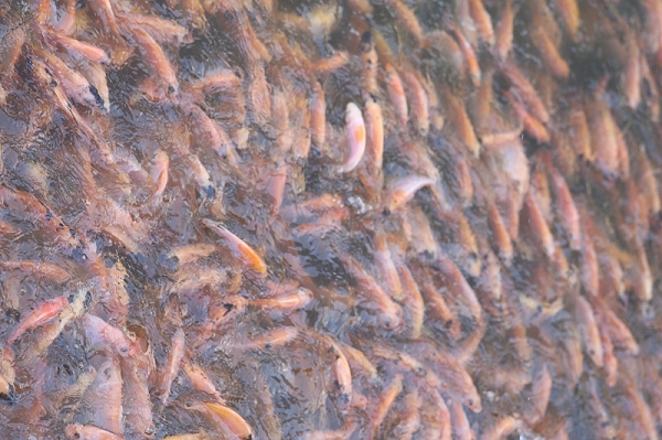 nEO_IMG_nEO_IMG_8R7C3766