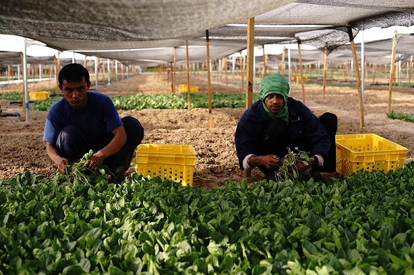 nEO_IMG_nEO_IMG_DSC02651