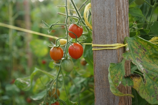 nEO_IMG_nEO_IMG_DSC02935