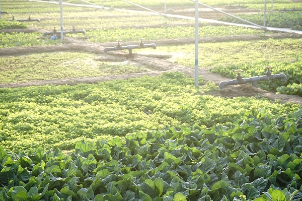 nEO_IMG_nEO_IMG_DSC06349