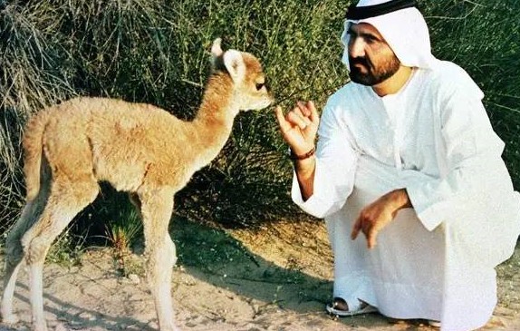 snipaste_20170705_140209