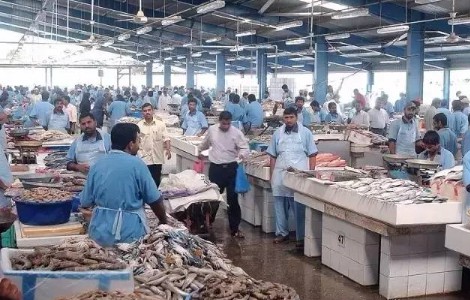 snipaste_20170724_134436