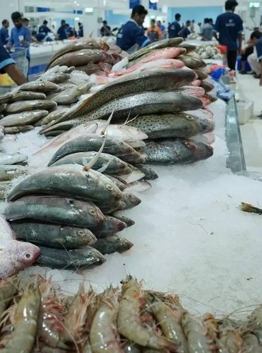 snipaste_20170724_134501