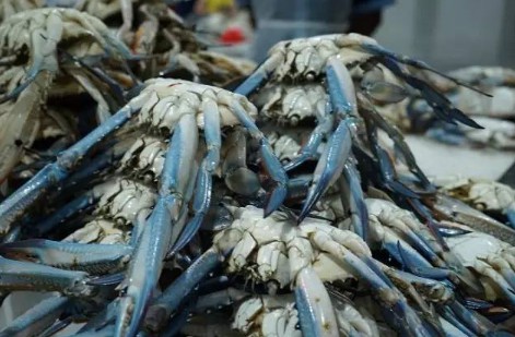 snipaste_20170724_134506