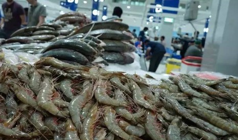 snipaste_20170724_134511