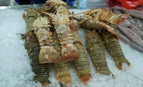 snipaste_20170724_134517